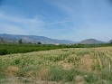 DSCF2677
