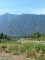 DSCF2690