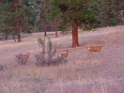 DSCF2697