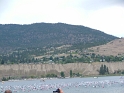 DSCF2702
