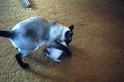 PICT0072