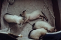 PICT0076