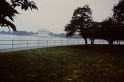 PICT0296