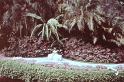 PICT0377