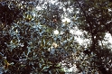PICT0404