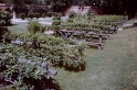 PICT0430