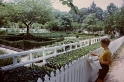 PICT0440