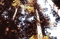 PICT0450