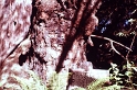 PICT0453