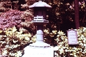 PICT0460