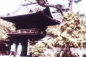 PICT0465