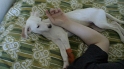 DSC00276