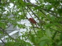 DSCF1802