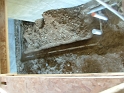 DSCF1897