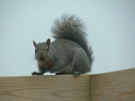 DSCF0864
